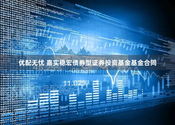 优配无忧 嘉实稳宏债券型证券投资基金基金合同
